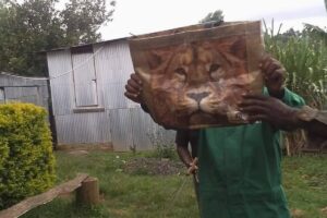 (Foto: Kenia WildLife Service/ Divulgação)