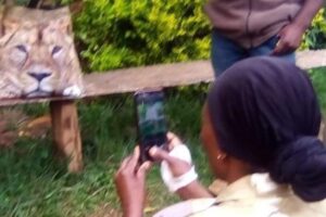 (Foto: Kenia WildLife Service/ Divulgação)