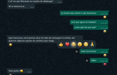 Atualização do WhatsApp inclui reações, grupos maiores e problemas de conexão