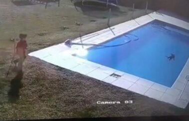 Menino de 5 anos pula em piscina para salvar cachorro