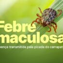 Vigilância em Saúde faz alerta sobre a Febre Maculosa em Paraguaçu Paulista