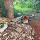 Menos de 15 dias após retirar mais de mil toneladas de entulho em Paraguaçu, Departamento de Obras se depara com novas cenas de descarte irregular