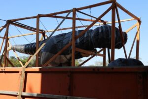 A r?plica do Dino Tit? demorou 120 dias para ser confeccionada ? (Foto: Assessoria de Imprensa PMM/Divulga??o)